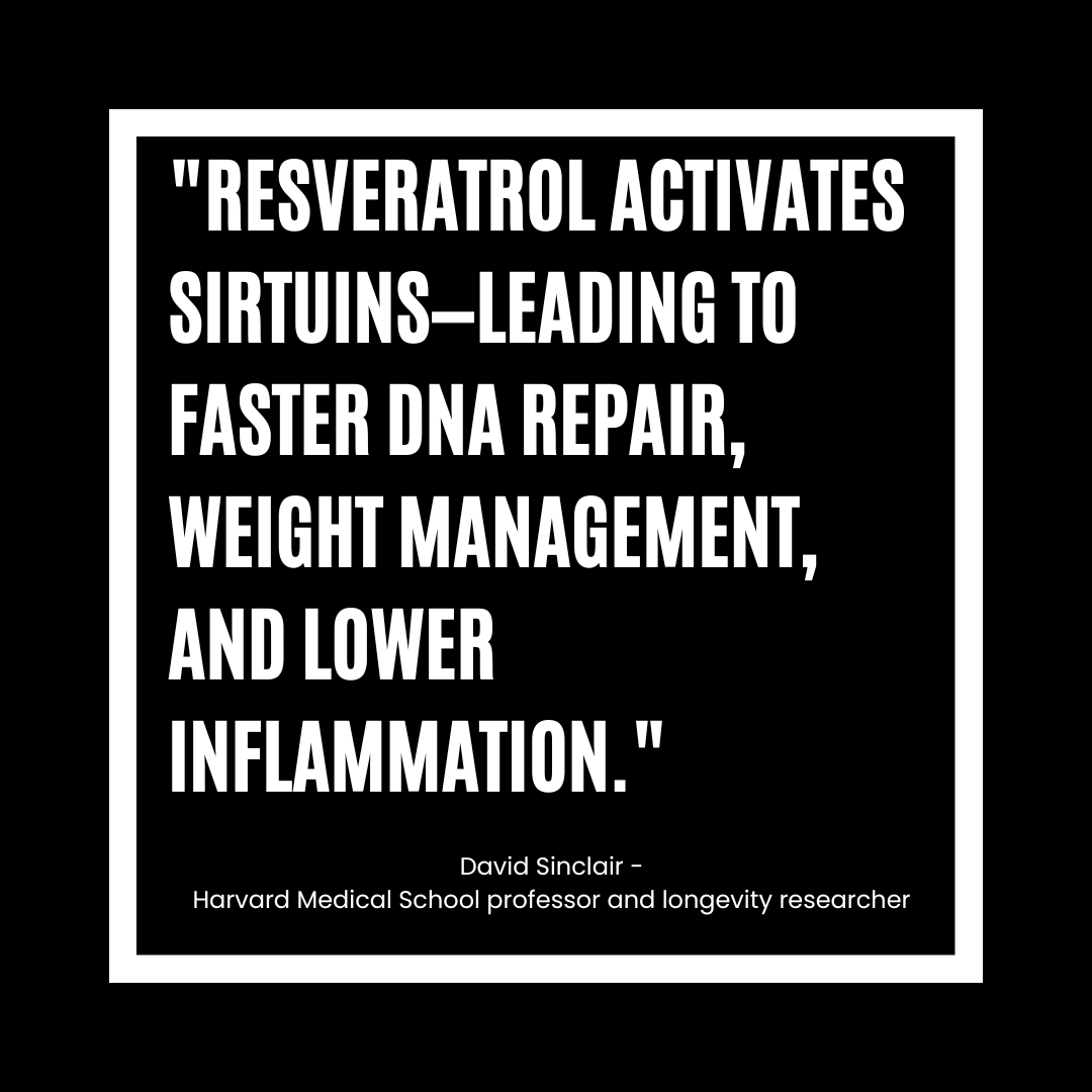 a quote about resveratrol by David Sinclair