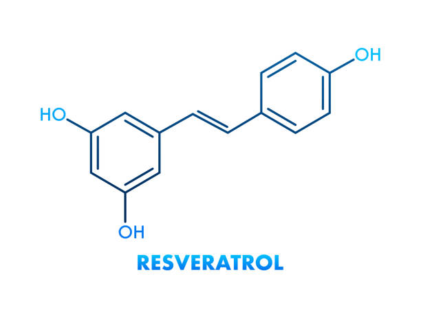 17 Resver What is Resveratrol? Everything to Know in 5 Minutes – Longevity Formulas