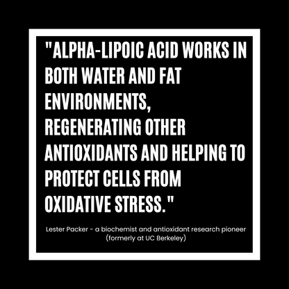 a quote about ALA by Lester Packer, Biochemist